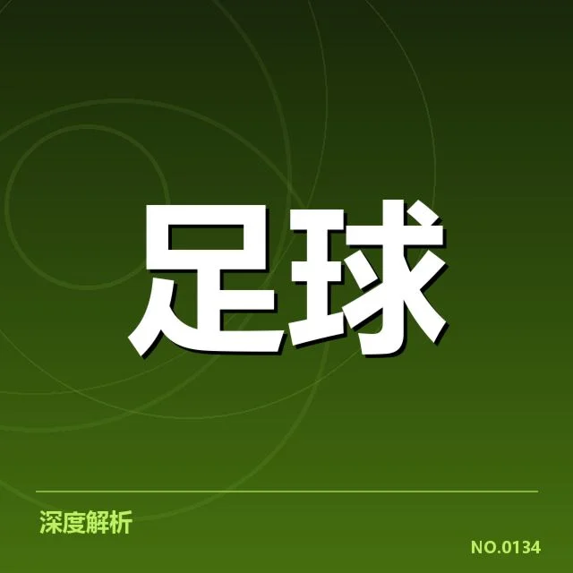 里尔伤病名单：球队阵容稳定性成疑问